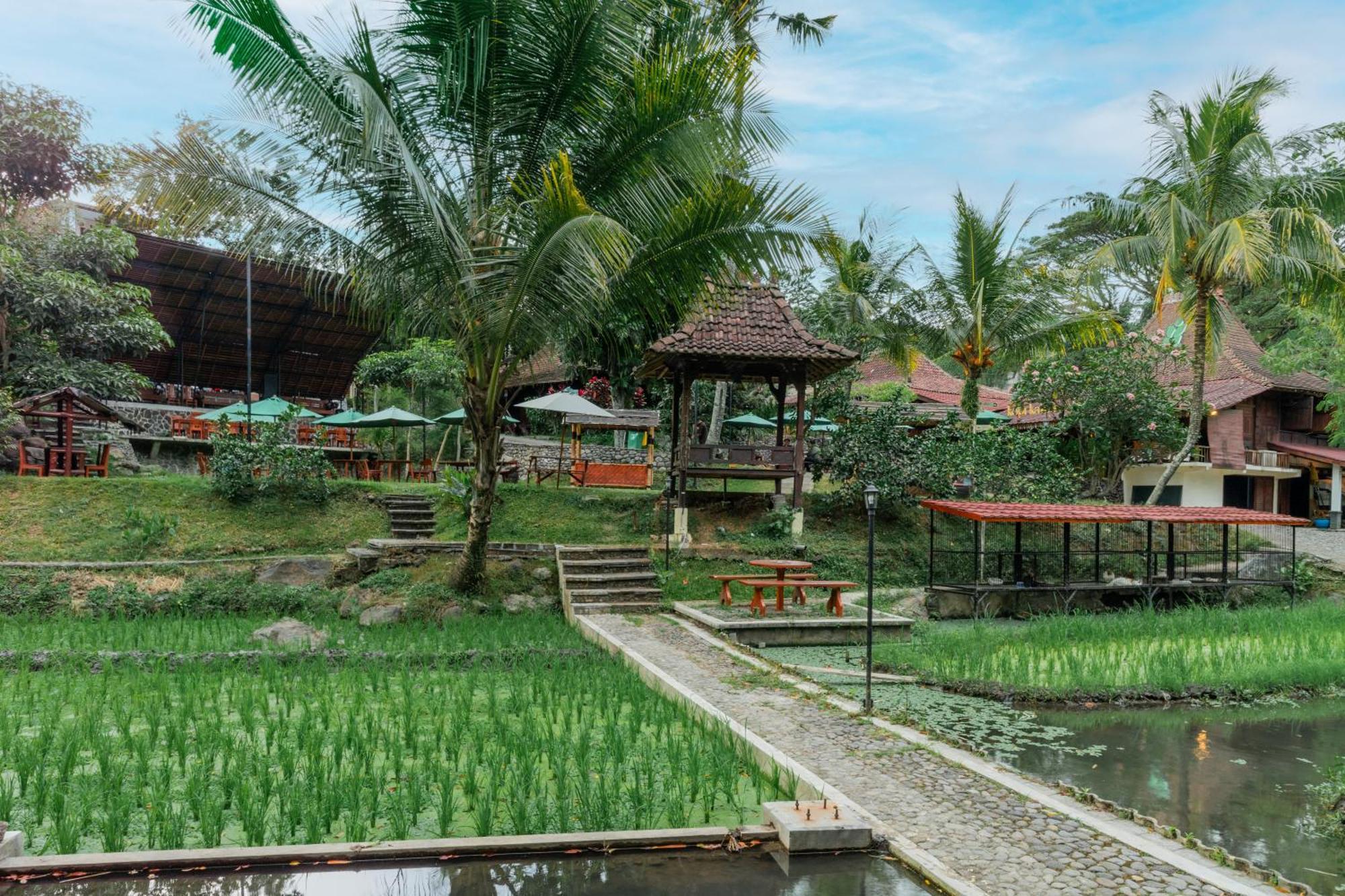 Padi Heritage Hotel Маланг Екстер'єр фото